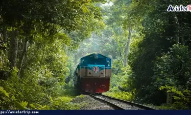 লাউয়াছড়া জাতীয় উদ্যান