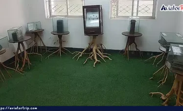 চা জাদুঘর