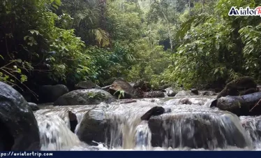 পাথারিয়া পাহাড়