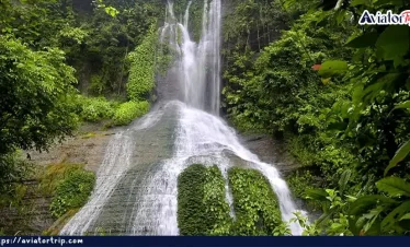 নাপিত্তাছড়া ট্রেইল