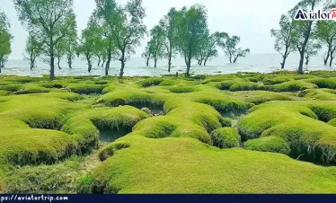 গুলিয়াখালী সমুদ্র সৈকত