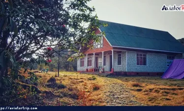 ভার্সে