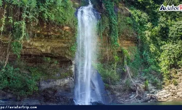 ঋজুক ঝর্ণা