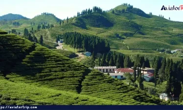 ইলম