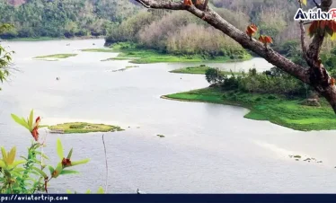 রঙরাং