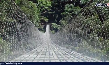 চিন্তাফু ট্রেক