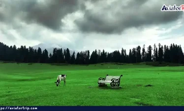 দুধপাথরি