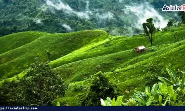 চিম্বুক