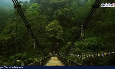 শ্রীখোলা