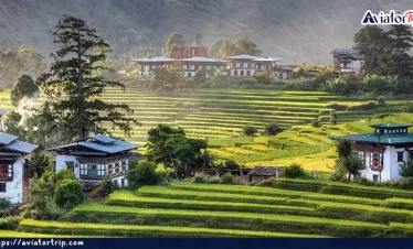 পুনাখা