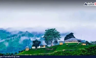 নিউজিল্যান্ড পাড়া