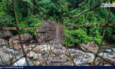 নংরিয়াত