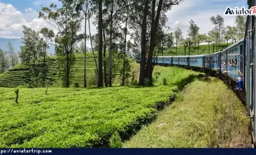 ক্যান্ডি