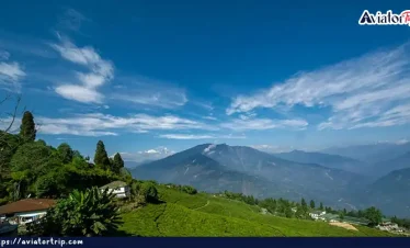 কালিম্পং