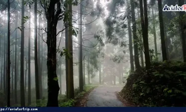 লোলেগাঁও