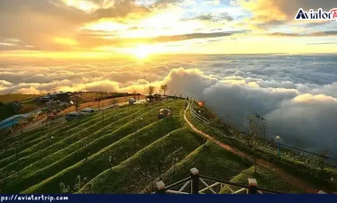 ফু থাপ বোয়েক