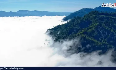 সিপ্পি আরসুয়াং