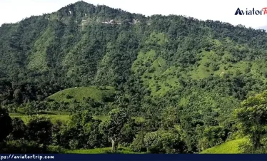 তাজিংডং