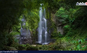 জিংসিয়াম সাইতার